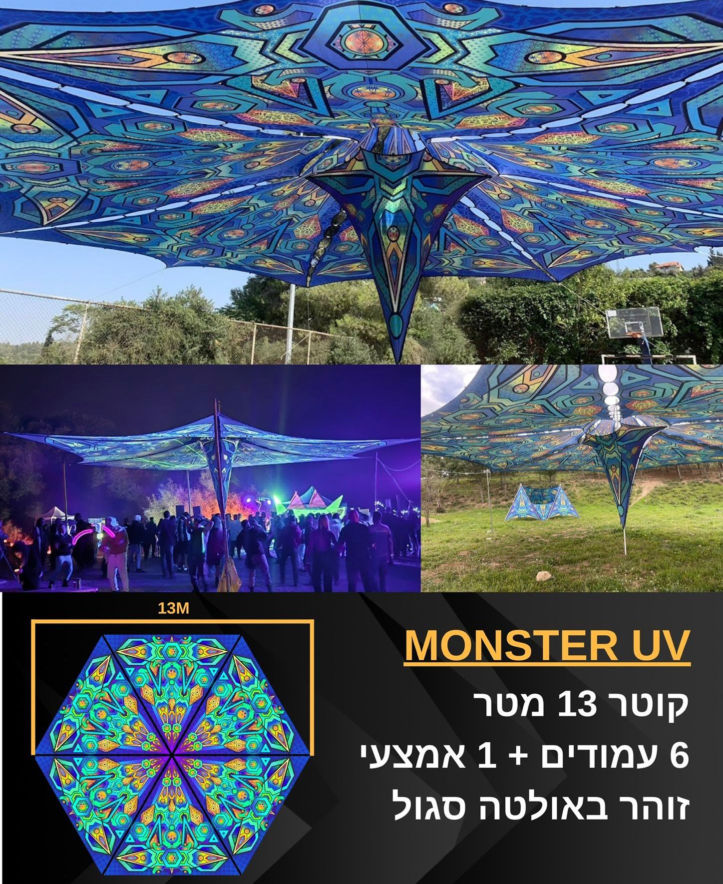 ציליות פסיכדליות 2